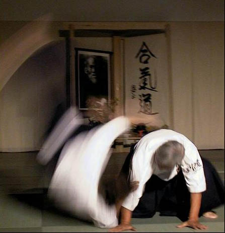 03.Aikido.Controle2