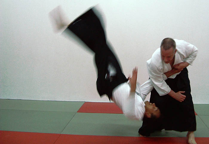 Aikido-stenudd